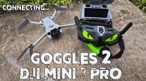 Как подключить очки Goggles 2 к дрону DJI Mini 3 Pro