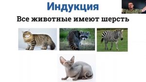 Фокусы языка.Открытое занятие