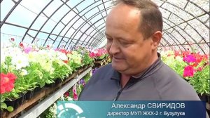 Продажа цветов продолжается