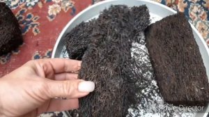 Корни  ПАПОРОТНИКА   для ОРХИДЕЙ, где и как?