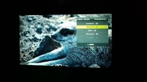 TouYinger Q7 проектор за 100 долларов из Китая. Реальный отзыв