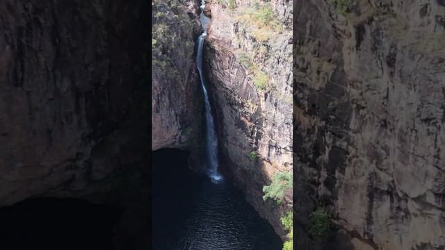 ONLY IN AUSTRALIA #drone #remote #nature