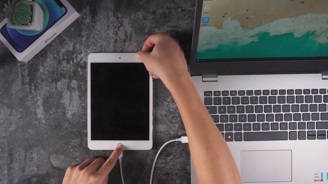 Что делать если iPad не включается?