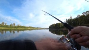 Рыбалка на Ветлуге 04.09.20 Марий - Эл