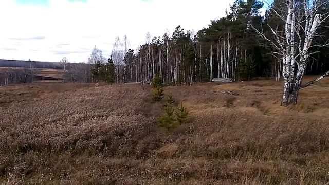 Обзорное видео территории бывшего пионерлагеря 