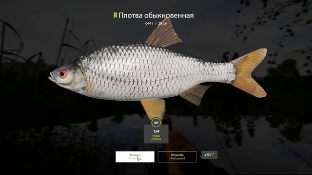 Русская рыбалка 4! Трофейная плотва на Суре! Маггот -  Задание квалификации! РР4! РЫБОКИТ!