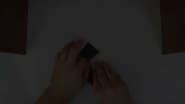Оригами #муха из бумаги
