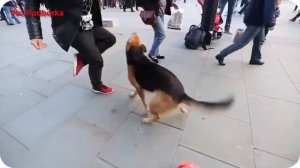 Подборка Люди 80 лвл Уровень Бога Супер навыки / 2018