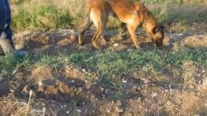 Обучающее видео. Следовая работа.