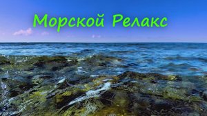 Морской Релакс: День на Спокойном Побережье
