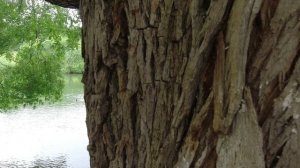 Съёмка на экшен камеру DJI Osmo Action 4K/30FPS.