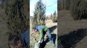 Летняя балаклава, шапка, баф