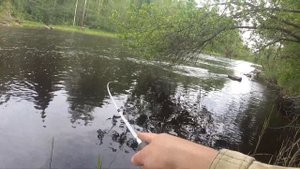 ЩУКА С ПЕРВОГО ЗАБРОСА | Рыбалка на реке | Щука окунь
