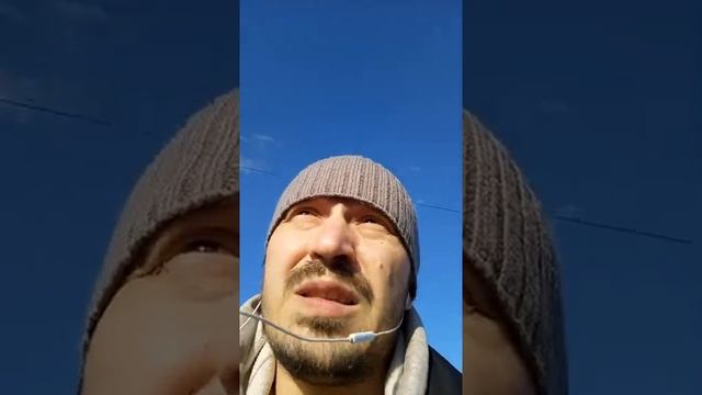 Почему растения зеленые? смотреть онлайн