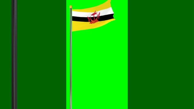 Green Screen - Flag of Brunei (Negara Brunei Darussalam/نڬارا بروني دارالسلام)