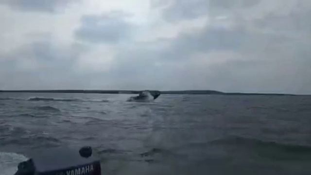 Лодка ПНД 460,  озеро Экостровская Имандра закрытие сезона