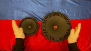 DL Audio Raven 250 - The Loud - voiced Raven