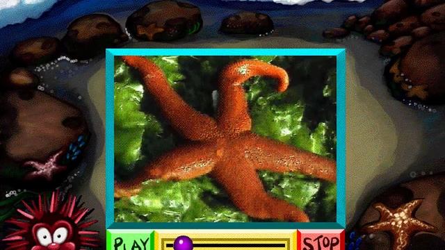 Ocean Explorers (PC) Full Playthrough смотреть онлайн