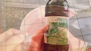КАБАЧКИ обожают ЭТО! Всего ОДНА ПОДКОРМКА и кабачки ЗАВАЛЯТ вас УРОЖАЕМ! Плодоносят ДО ХОЛОДОВ!