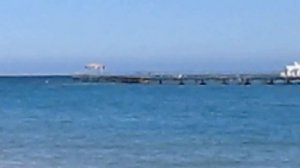 Отдых в Египте глазами туриста (г. Хургада, отель Lillyland) ч.4