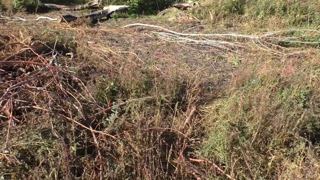 3 МЕСЯЦА В СЕЛЕ - ЧТО СДЕЛАНО? \\ Жизнь в селе, Украина смотреть онлайн