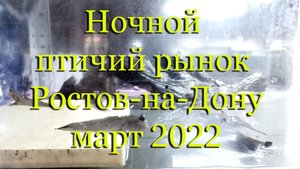 Ночной рынок аквариумных рыб в Ростове-на-Дону, март 2022г.