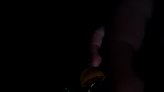 Знаю света мало но вроде норм | открываю Киндер сюрприз🌼 смотреть онлайн