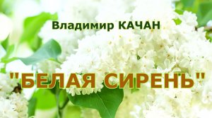 Владимир Качан "Белая сирень"