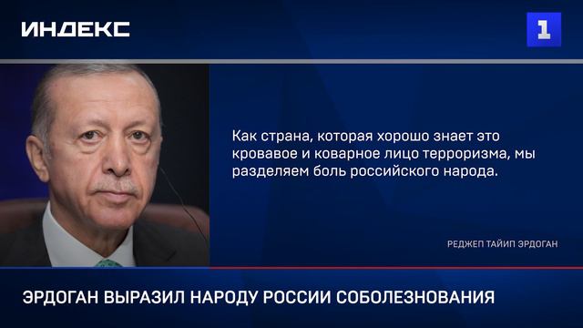 Эрдоган выразил народу России соболезнования