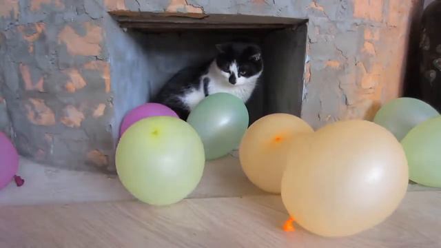 Пранки А-ну-ка-давай-ка смотреть онлайн