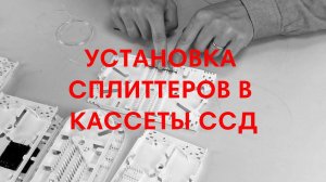 Установка сплавных FBT сплиттеров в оптические кассеты ССД