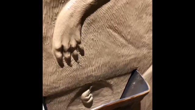 WASHINGTON DC, USA/Вашингтон ДС за два дня ✨ смотреть онлайн