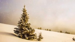 Саксофон и снег! Невероятно красивая, очень нежная и романтическая музыка!