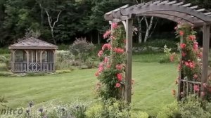 Arches, pergolas. trellis in the garden.Арки, перголы. трельяжи в саду.