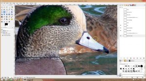 Using Gimp to create decoy patterns : Part 6 - Head Top Profile