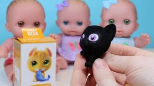 Куклы Пупсики завели питомцев: Мама купила кошечек и собачку Sweet Box/Игрушки для девочек/Зырики Т