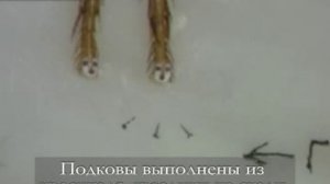 Подкованная блоха. Микроминиатюра