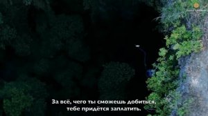 Школа практик Дэвида Вердези  SUPERHUMAN