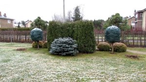 Подготовка сада к зиме. 2021 | Про Сад с Любовью