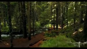 ЧИСЛО РОЖДЕНИЯ 26 . Как влияет на характер и судьбу человека? Нумерология.