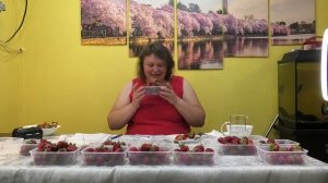 2 серия. КЛУБНИКА.  Замер сахара в ранних сортах клубники с 11 по 15 номер