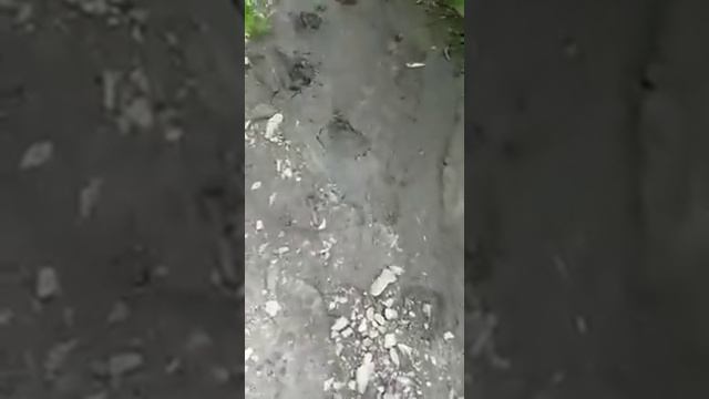 Чечня, река Белая Шалжа💗. Это место где две реки сливаются в одну* смотреть онлайн