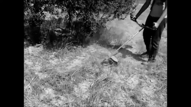 Stihl FS 250 смотреть онлайн