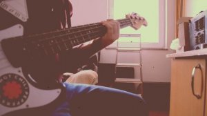 Diadema - Jakup Ferri (Bass Cover)