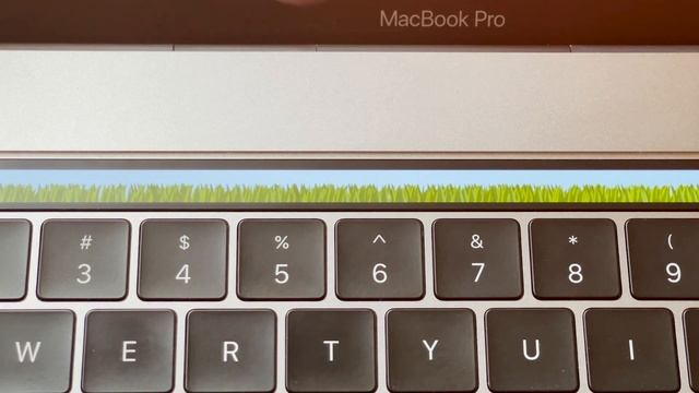 Touch grass using the MacBook Touch Bar