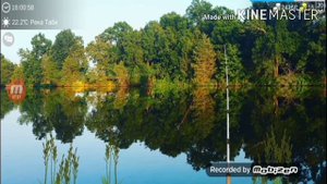 My Fishing World #16 // Рыбалка на реке ТаБи.