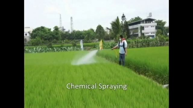 MORI POWER SPRAYER THP 250