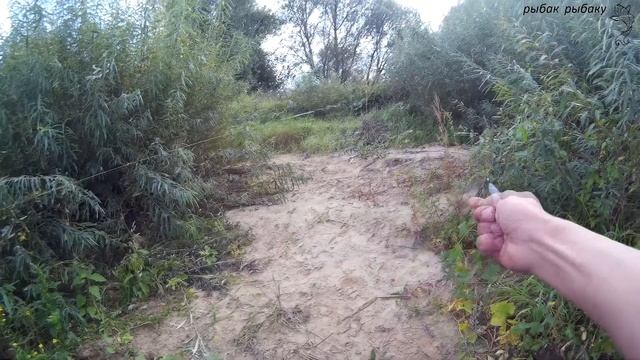 Ловля леща в проводку, без поплавка! Река неман Город Советск Калининградская  область