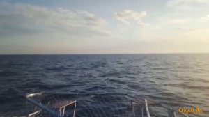 Рыбалка, ловля троллингом