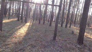 Что можно найти поисковым магнитом в лесу за час